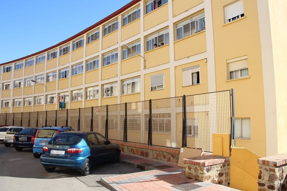 El MDyC pide al Ejecutivo que actúe en las barriadas ante la presencia de cucarachas 